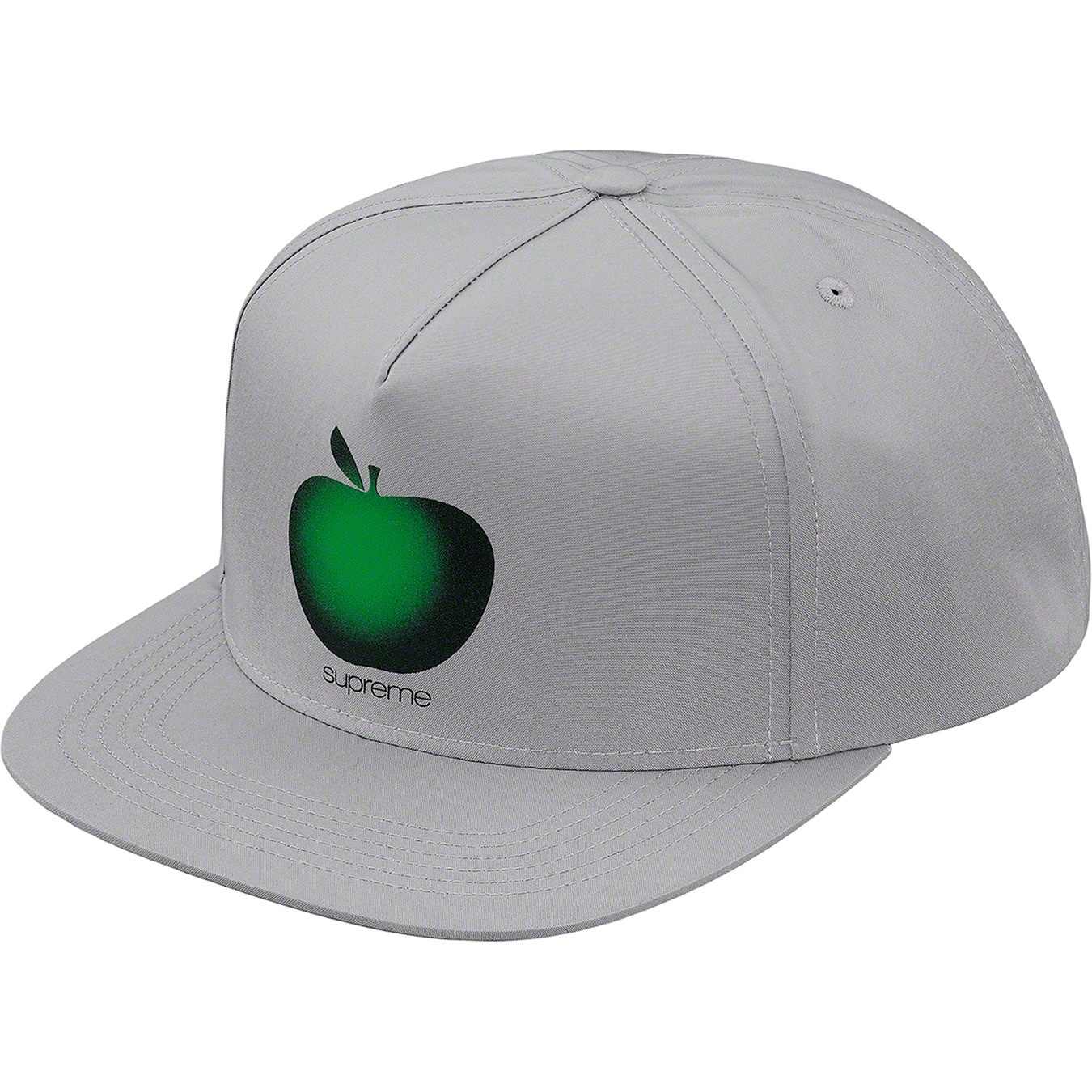 Apple 5-Panel view 9